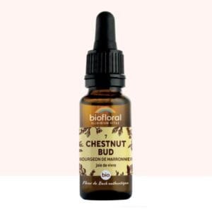 Flores de Bach Chestnut Bud n° 7 - 20 ml