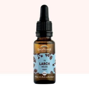 Flores de Bach Larch n° 19 - 20 ml