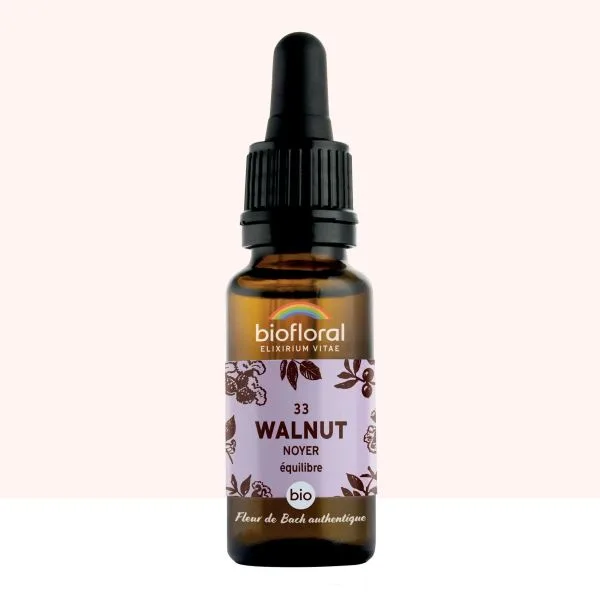 Flor de Bach Walnut – La esencia para cambios y nuevas etapas. Protege de influencias externas, fortalece la decisión interior. Orgánica y artesanal.