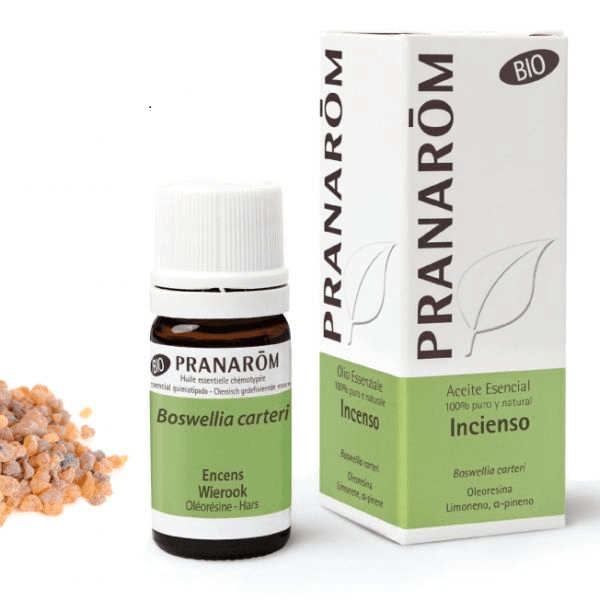 El aceite esencial de incienso es utilizado en ceremonias rituales, aromaterapia y cosmética natural por sus diversas propiedades. Entre ellas, que favorece estados meditativos y contiene propiedades antioxidantes.