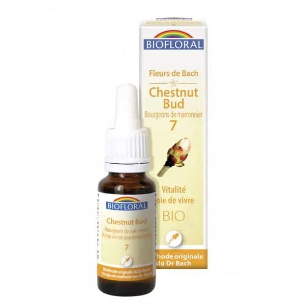 Flores de Bach Chestnut Bud 20 ml
