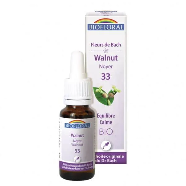 Flor de Bach Walnut – La esencia para cambios y nuevas etapas. Protege de influencias externas, fortalece la decisión interior. Orgánica y artesanal.