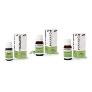 El aceite de romero organico tiene tres variedades diferentes según su cultivo. Aprende más de los beneficios de cada quimiotipo.