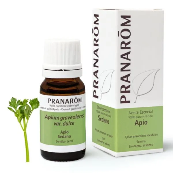 Aceite esencial 100% puro de Apium graveolens var. dulce, extraído de las semillas. Ideal para detoxificar el organismo, atenuar manchas cutáneas y calmar estados de ansiedad o insomnio. Uso diluido. No recomendado en embarazo ni en niños.