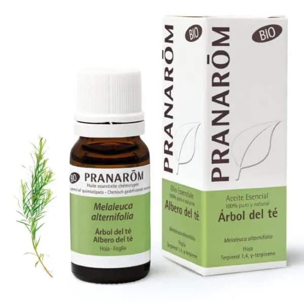 El aceite esencial de árbol de té Pranarôm es un indispensable en cualquier hogar. Conoce sus propiedades y adquiere uno 100 % natural aquí.