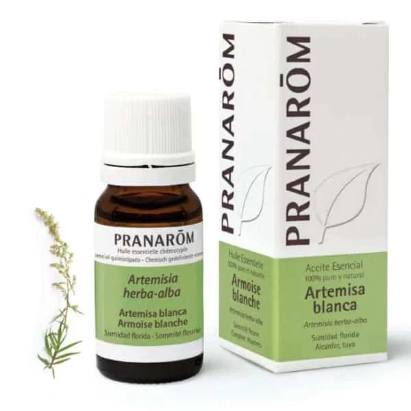 Aceite esencial de Artemisa blanca 10 ml