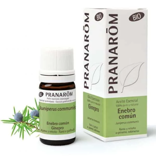 El aceite esencial de enebro de intensa fragancia, es una de las primeras plantas en ser utilizadas por sus efectos antisépticos y antiinflamatorios.