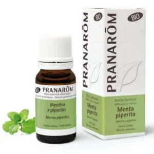El aceite esencial de menta es un excelente refrescante y estimulante, además de solucionar otras molestias. ¡Aquí te damos los detalles!