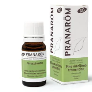 Del pino marítimo se obtiene la trementina por destilación de la resina . Muy rico en terpenos, descongestionante pulmonar, antiséptico y expectorante.