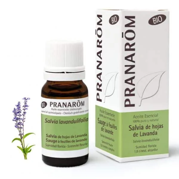 Aceite esencial de Salvia de hojas de Lavanda 10 ml