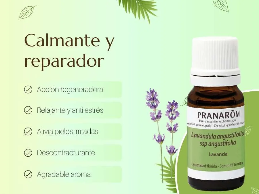 Blog Bienverde Aceite esencial de Lavanda