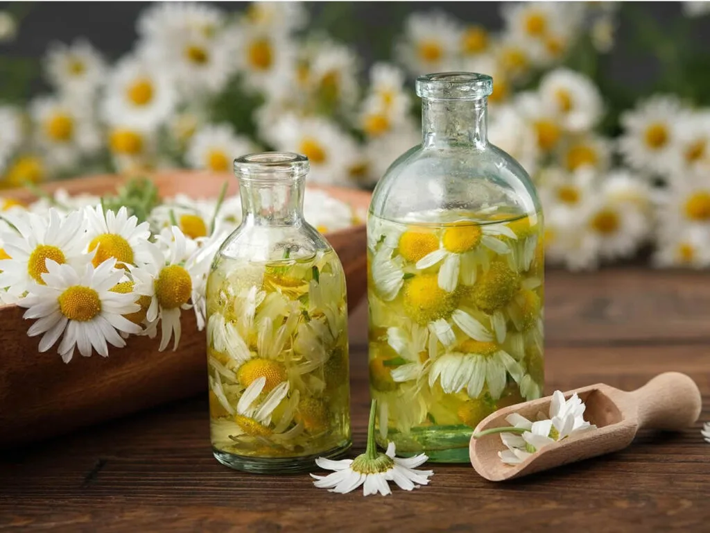 ¿Para qué sirven los hidrolatos?